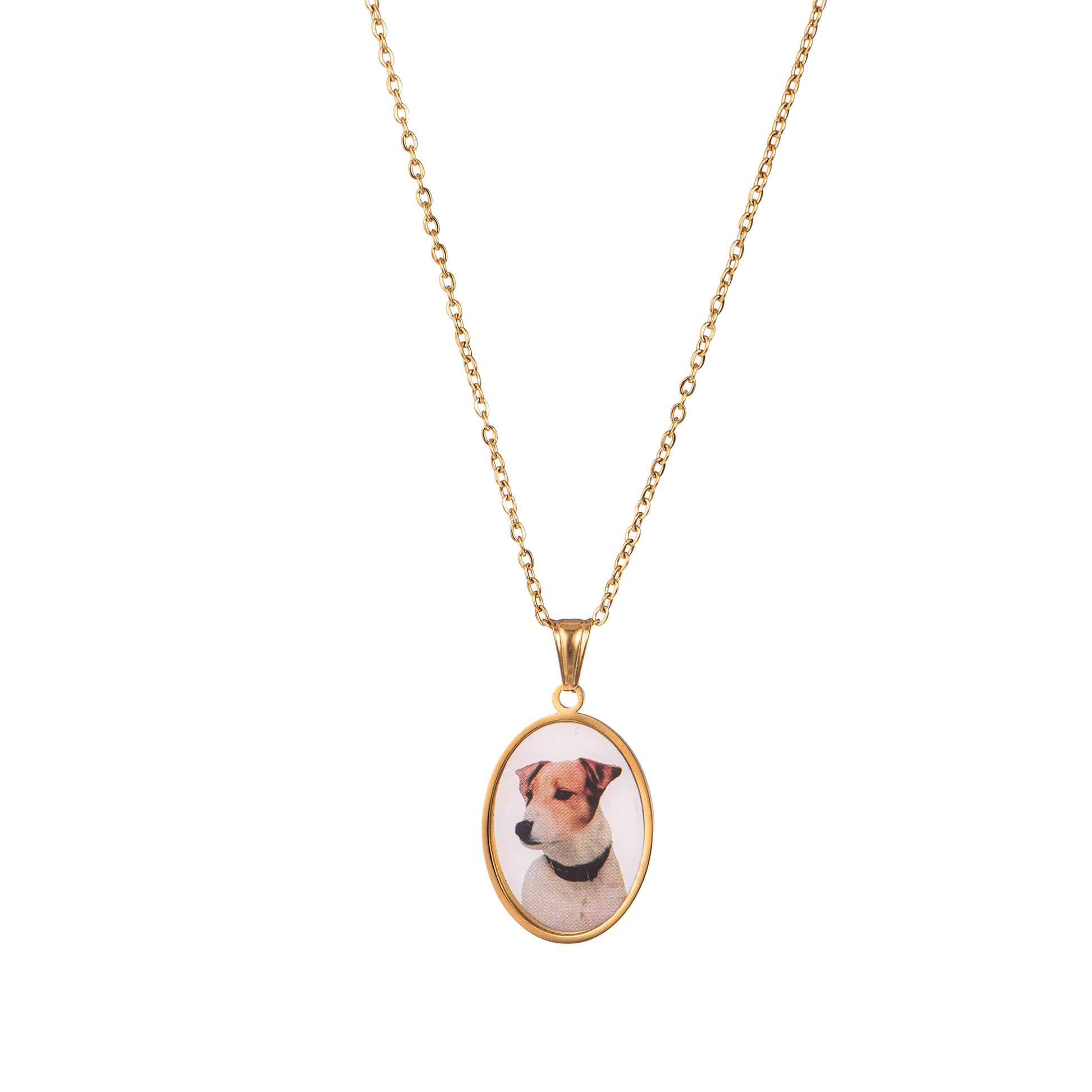 Collana pendenti dorato - Collana Golden Dog