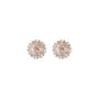 Orecchini dorato - Orecchini Solar Glow Stud