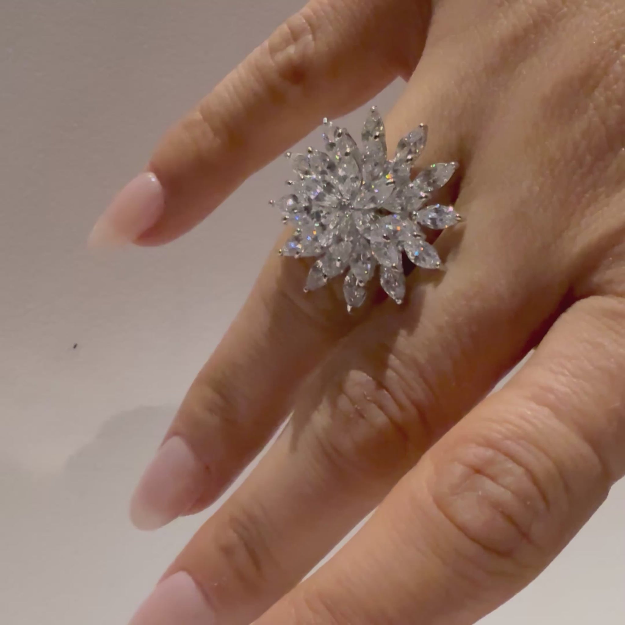 VIDEO ANELLO LOTUS